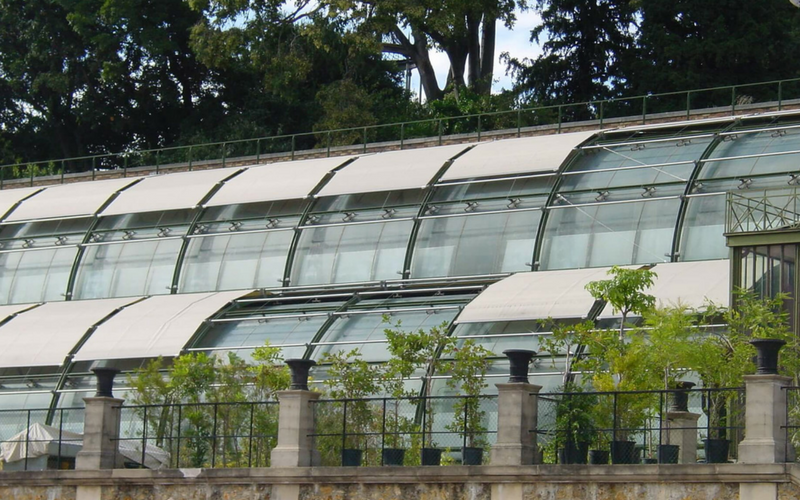 Jardin des plantes